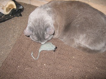 Hexapuff Knit Catnip Mouse