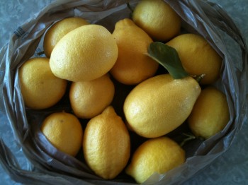 Fresh California Lemons